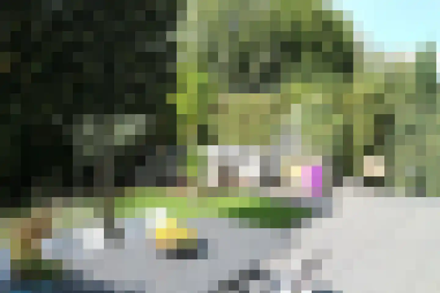 Aakpark 16 's Gravenmoer thumbnail 23
