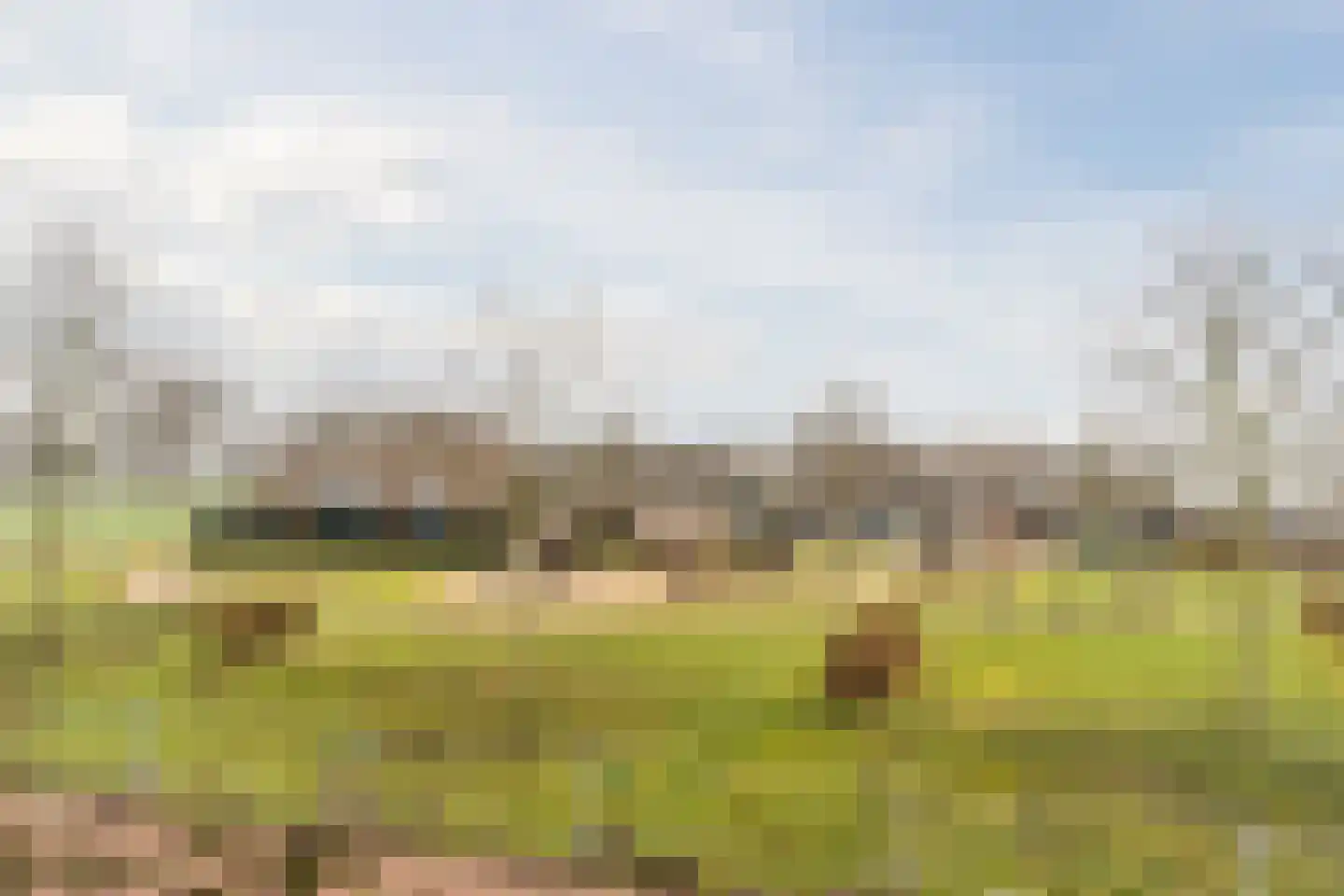 Aakpark 16 's Gravenmoer thumbnail 45