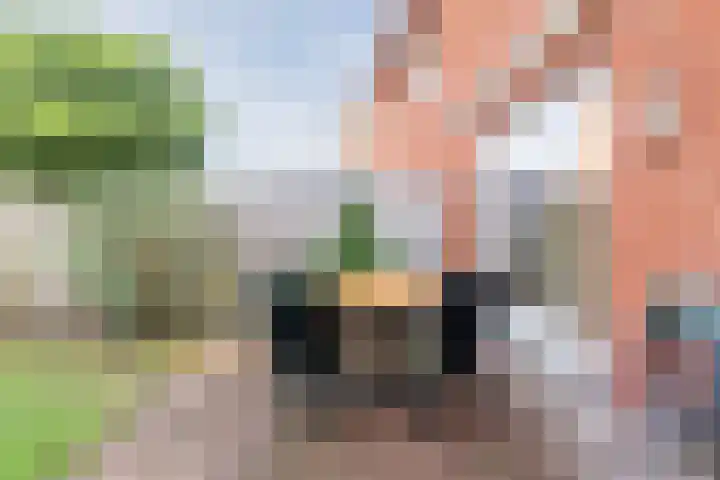 Aakpark 17 's Gravenmoer thumbnail 30