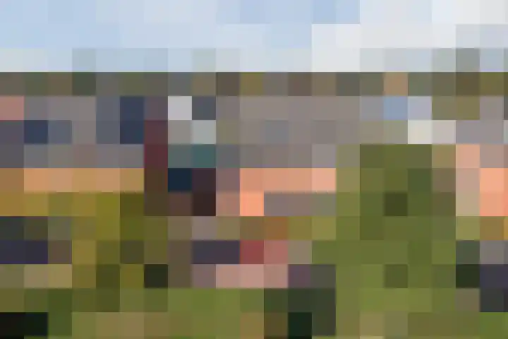 Aakpark 17 's Gravenmoer thumbnail 34