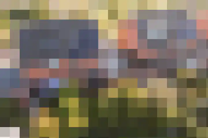 Aakpark 17 's Gravenmoer thumbnail 35