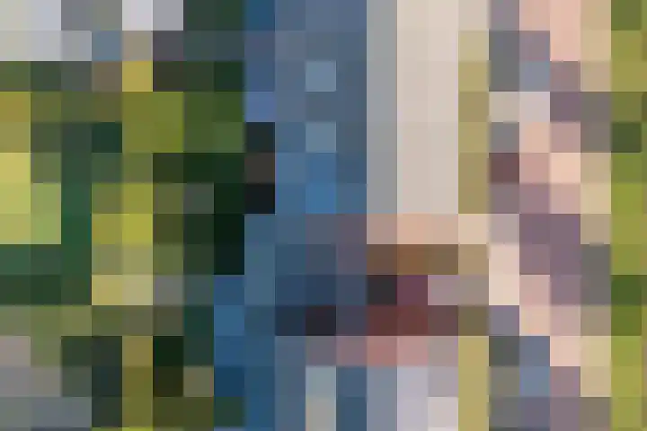 Aakpark 17 's Gravenmoer thumbnail 36
