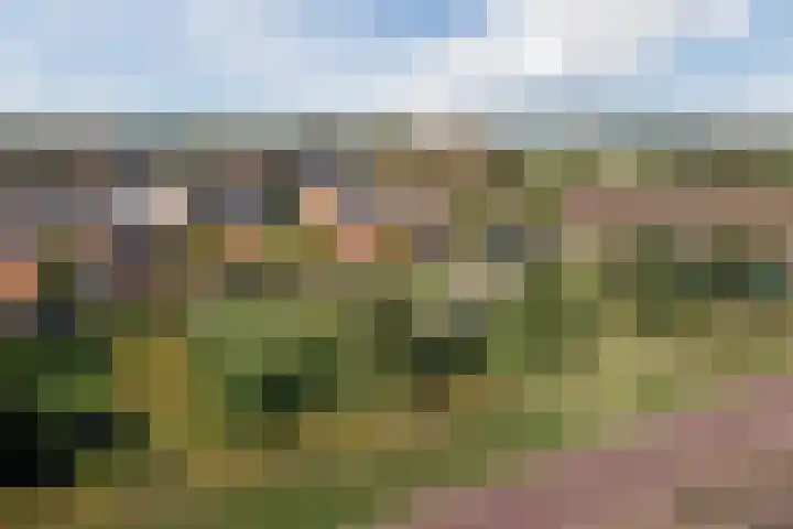 Aakpark 17 's Gravenmoer thumbnail 37
