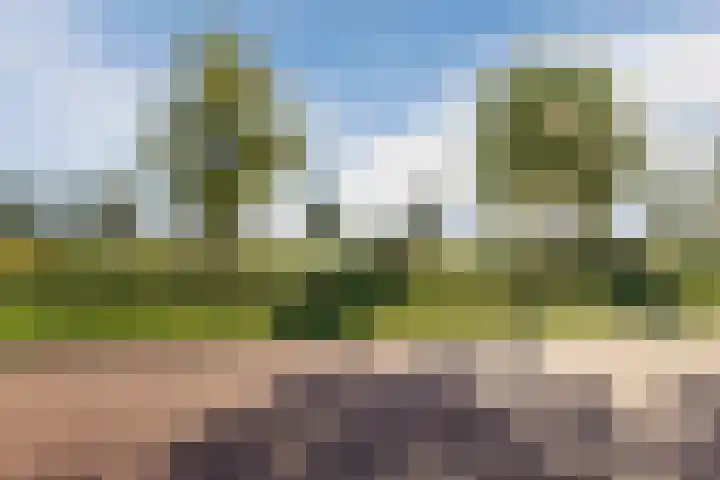 Aakpark 17 's Gravenmoer thumbnail 38