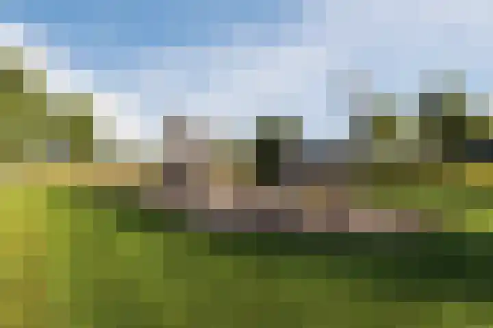 Aakpark 17 's Gravenmoer thumbnail 39