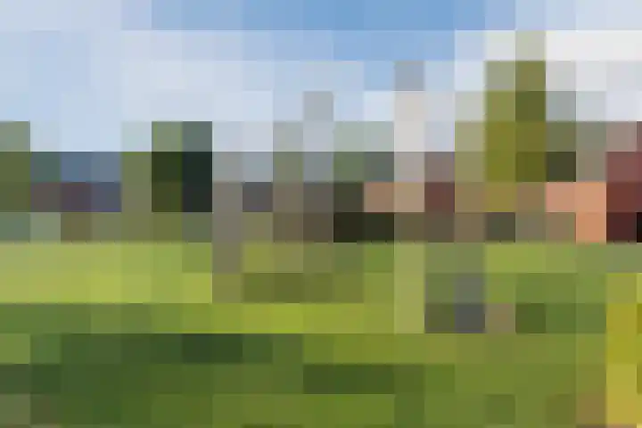 Aakpark 17 's Gravenmoer thumbnail 40