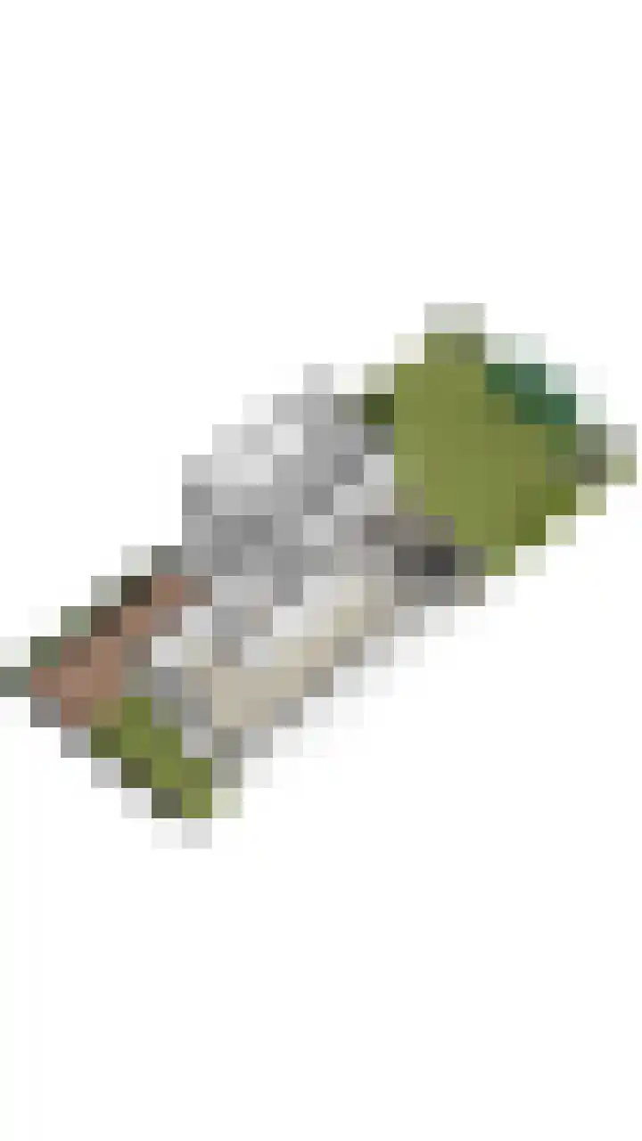 Aakpark 17 's Gravenmoer thumbnail 48