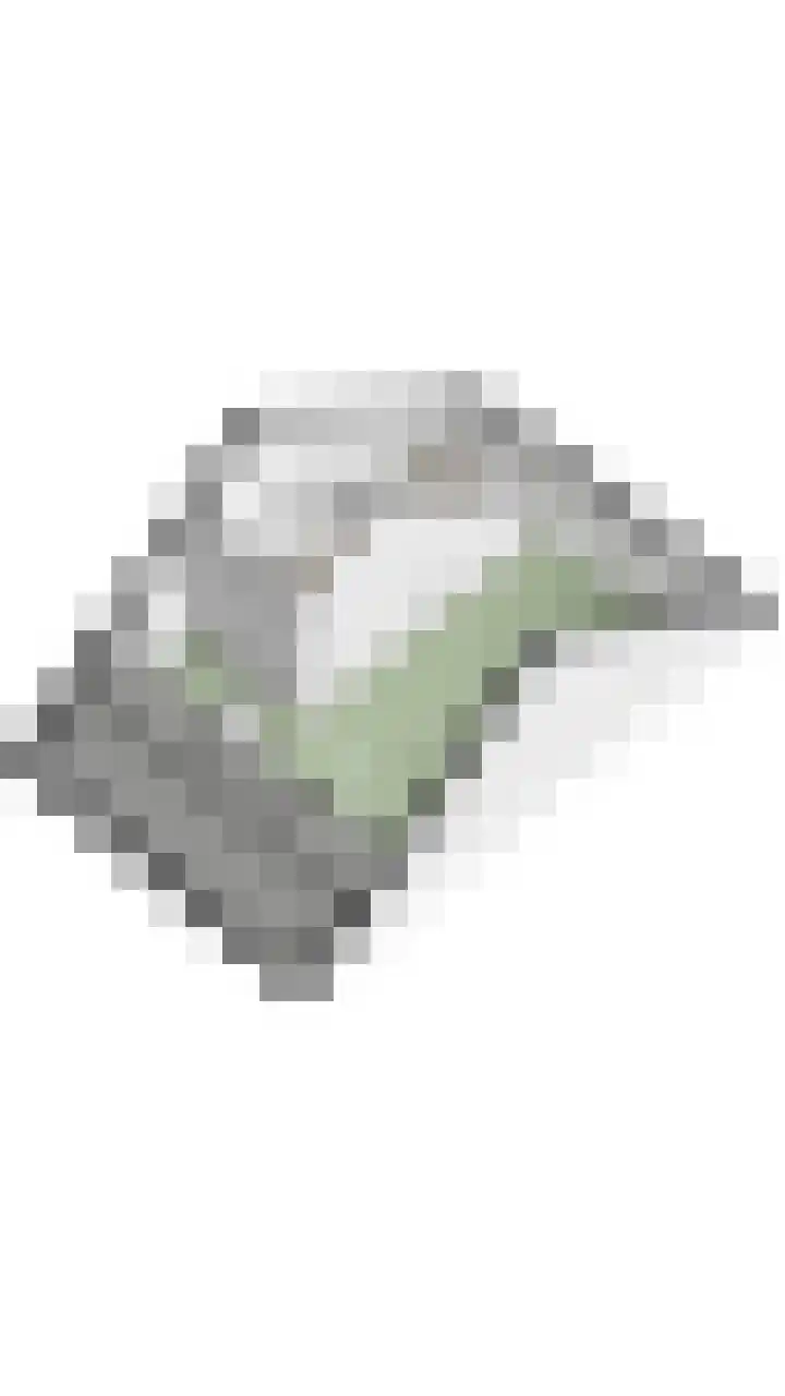 Aakpark 17 's Gravenmoer thumbnail 51