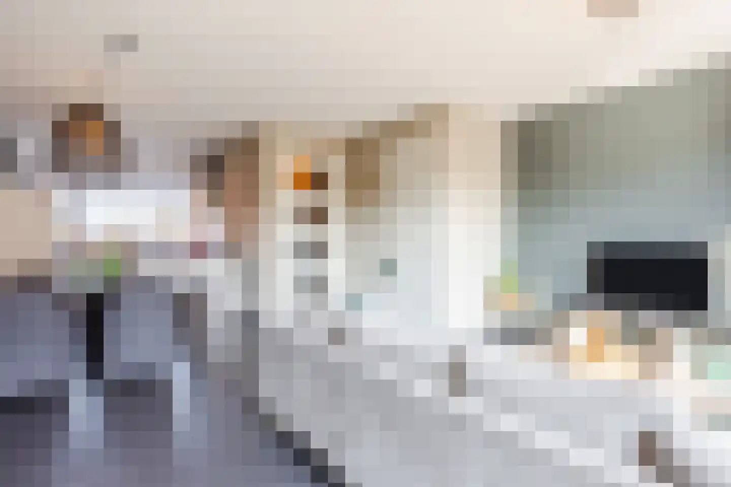 Aakpark 9 's Gravenmoer thumbnail 10