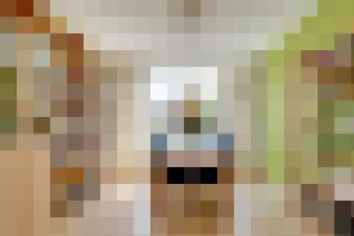 Aakplein 3 Utrecht thumbnail 11