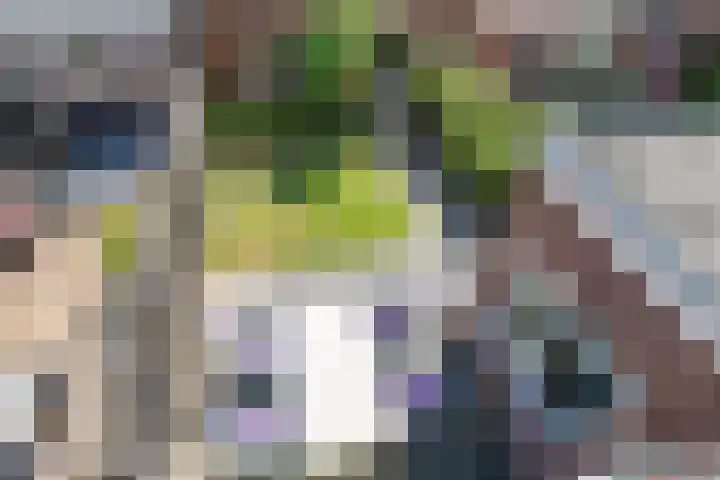 Aakplein 3 Utrecht thumbnail 41