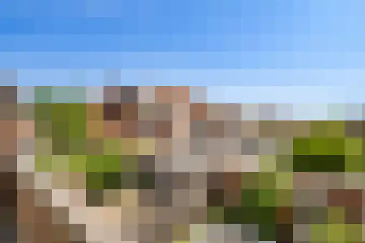 Aakplein 3 Utrecht thumbnail 43
