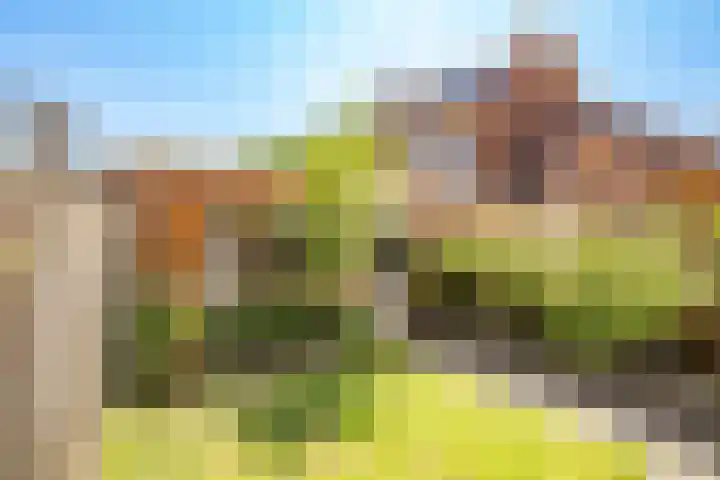Aakplein 3 Utrecht thumbnail 5