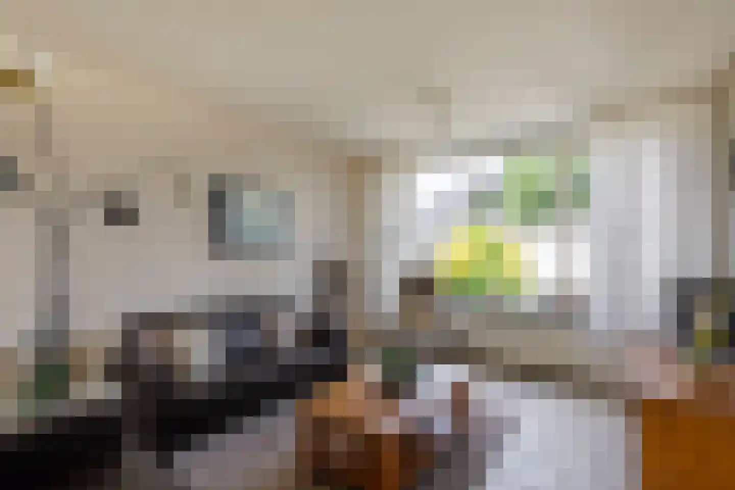 Aaksterveld 60 Ameide thumbnail 14