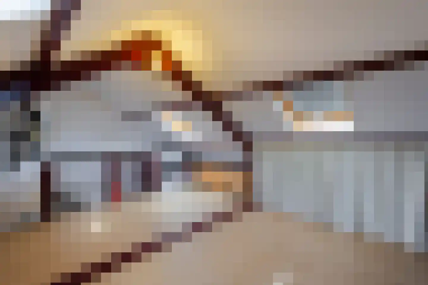 Aaksterveld 60 Ameide thumbnail 27