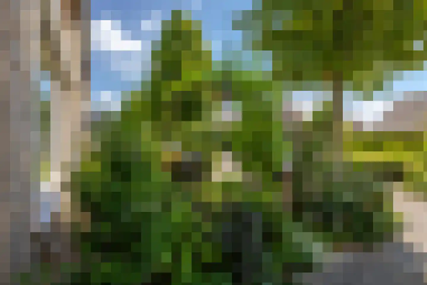 Aaksterveld 60 Ameide thumbnail 30