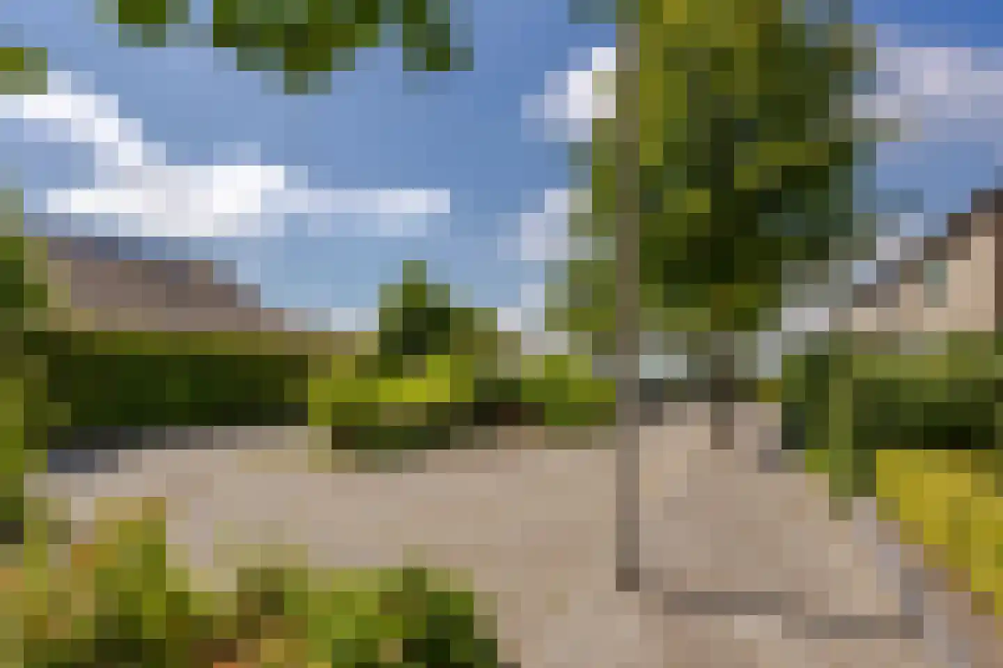 Aaksterveld 60 Ameide thumbnail 32