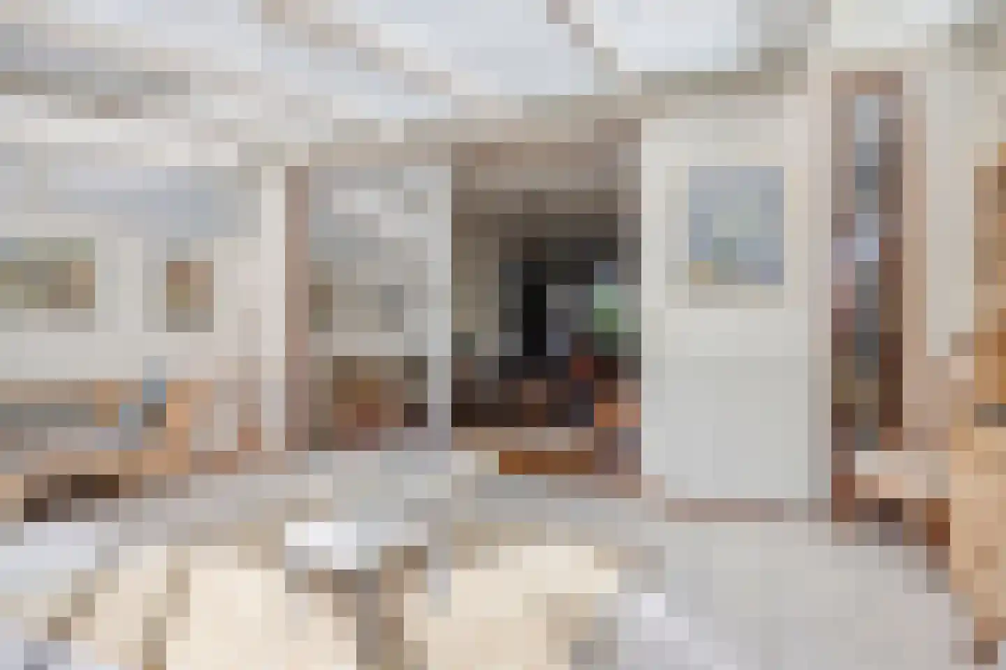 Aakstraat 10 Zaltbommel thumbnail 13