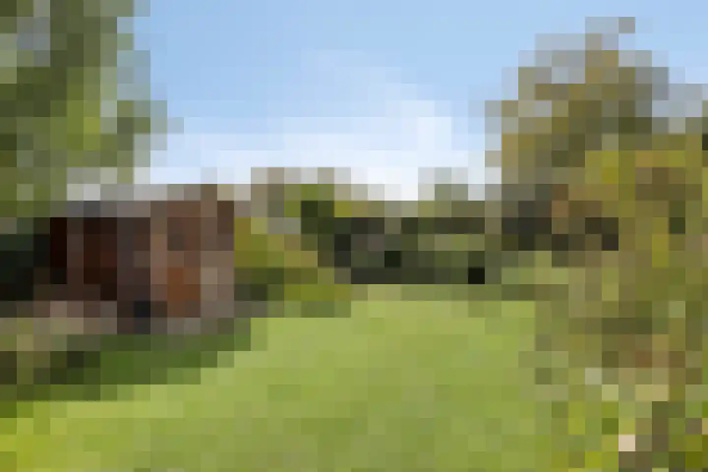 Aakstraat 10 Zaltbommel thumbnail 34