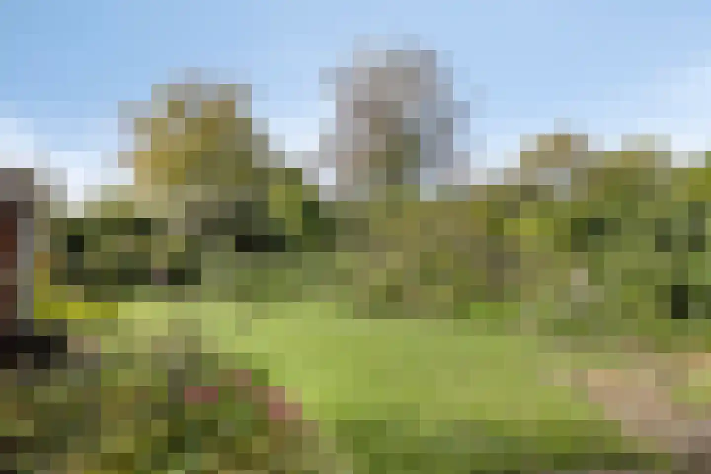 Aakstraat 10 Zaltbommel thumbnail 35