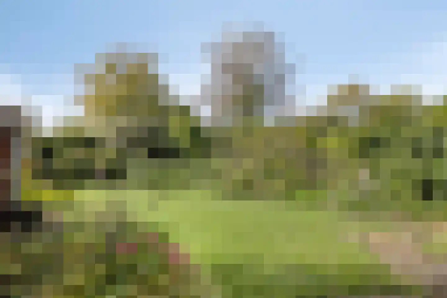 Aakstraat 10 Zaltbommel thumbnail 5