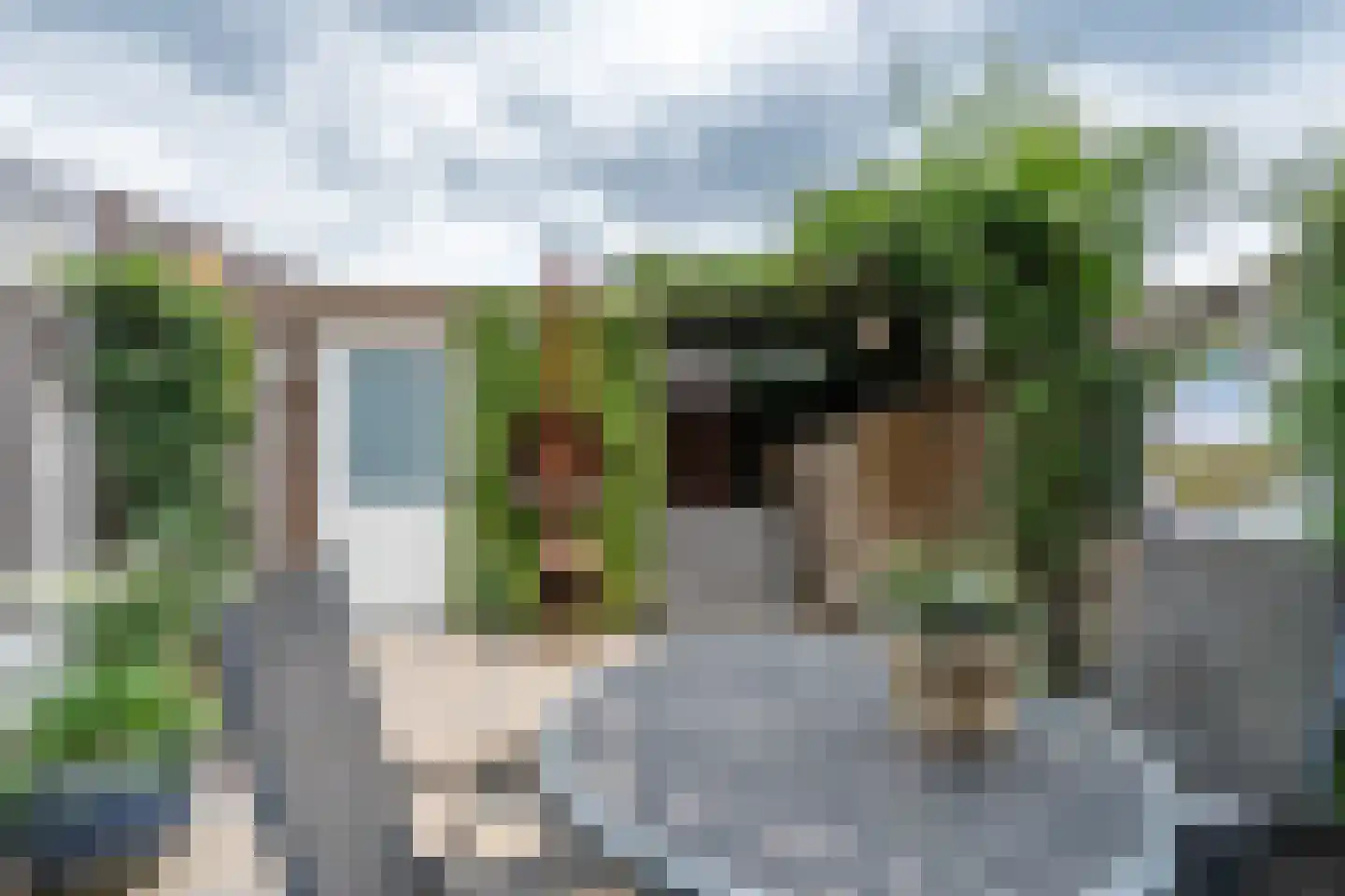 Aakstraat 11 Zaltbommel thumbnail 7