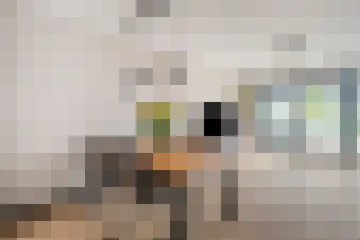 Aakstraat 12 Purmerend thumbnail 11