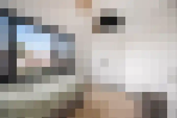 Aakstraat 12 Purmerend thumbnail 32