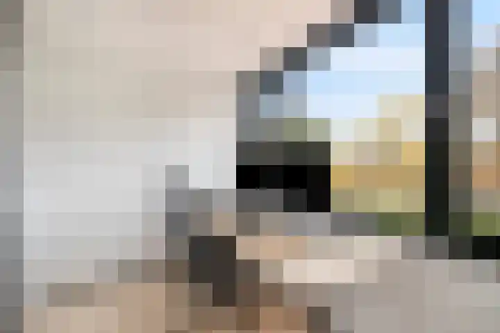 Aakstraat 12 Purmerend thumbnail 34