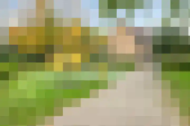 Aakstraat 12 Purmerend thumbnail 42