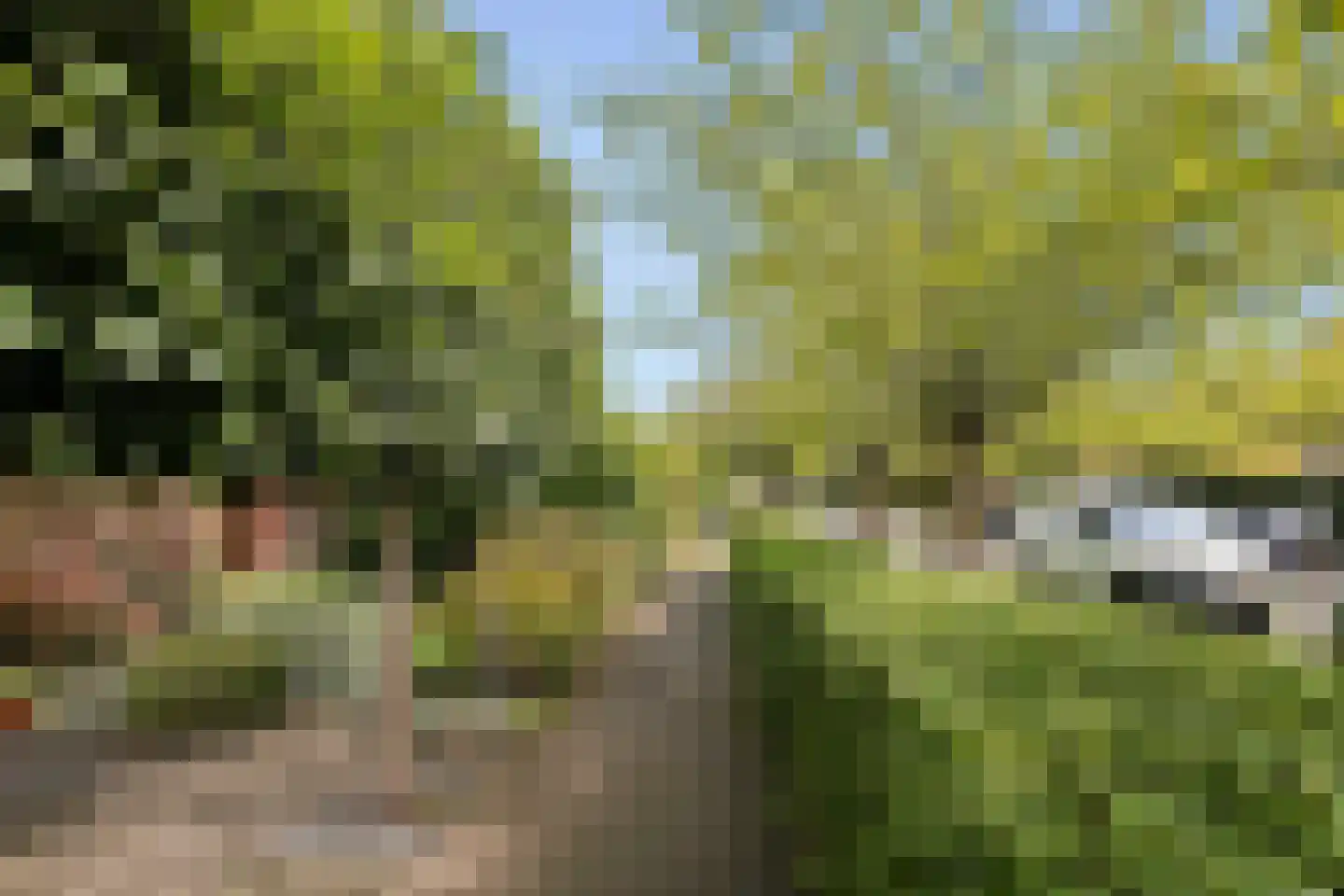 Aakstraat 13 Zaandam thumbnail 29