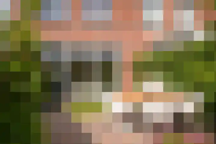 Aakstraat 57 Zaltbommel thumbnail 31
