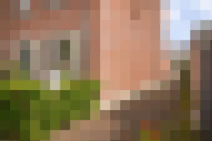 Aakstraat 57 Zaltbommel thumbnail 35