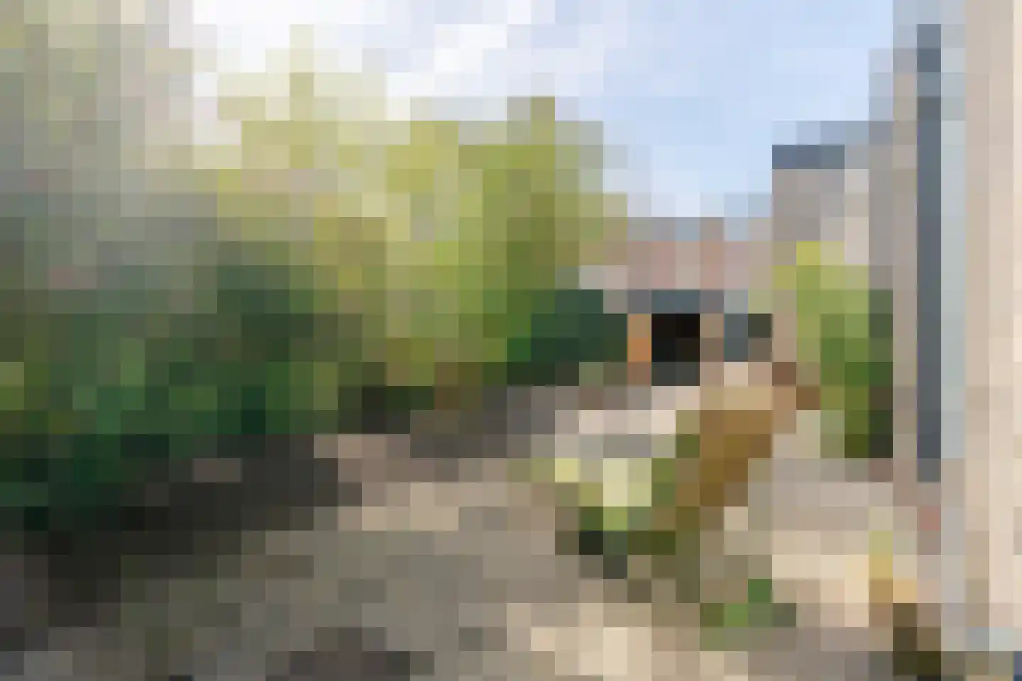 Aakstraat 70 Amsterdam thumbnail 12