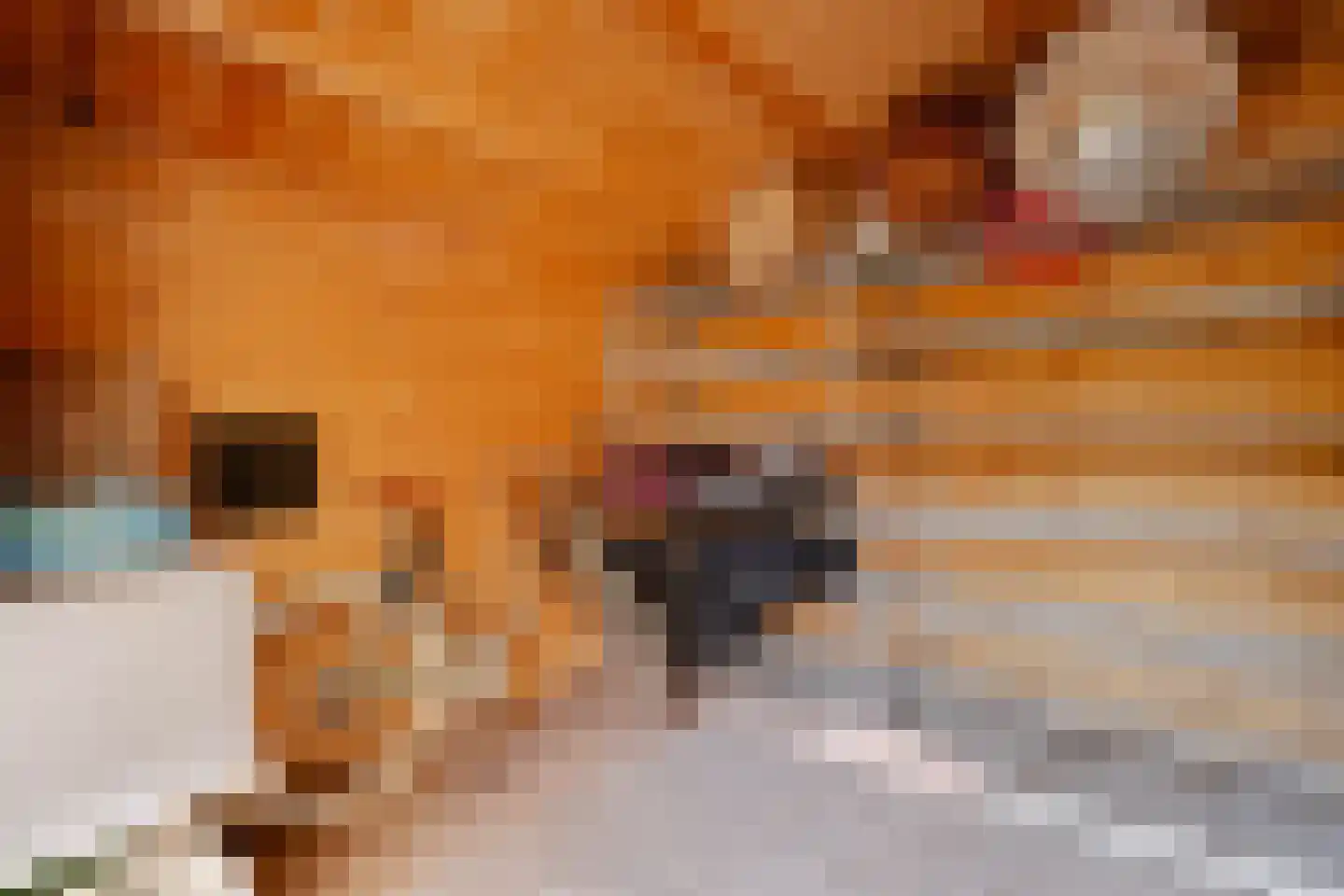 Aakstraat 70 Amsterdam thumbnail 14
