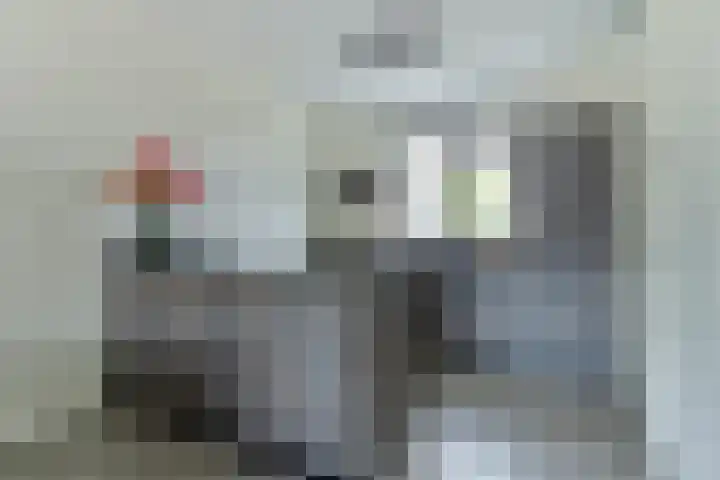 Aakstraat 9 Zaltbommel thumbnail 10