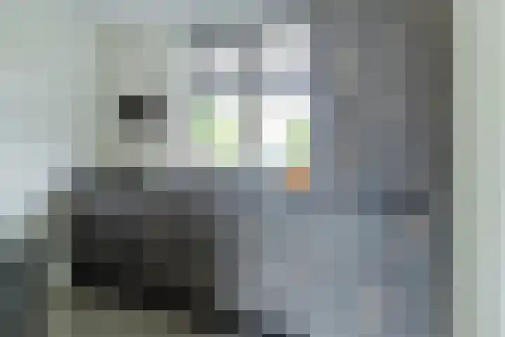 Aakstraat 9 Zaltbommel thumbnail 13