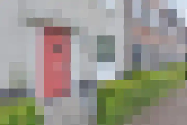 Aakstraat 9 Zaltbommel thumbnail 35