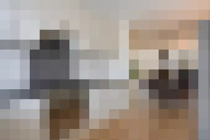 Aakwerf 23 Zoetermeer thumbnail 13