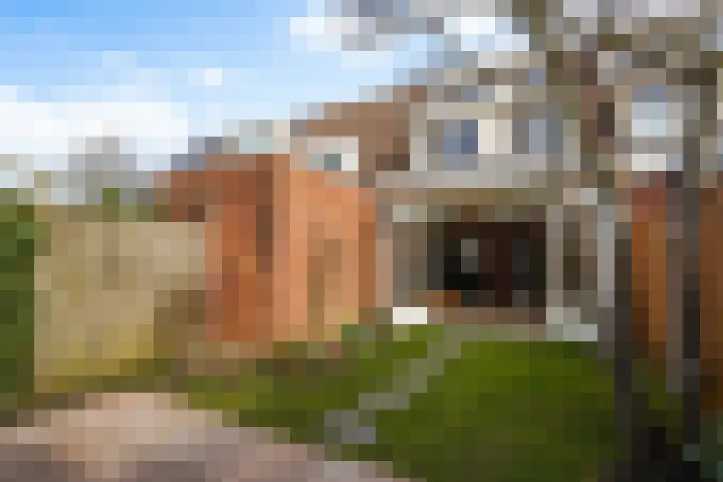 Aakwerf 23 Zoetermeer thumbnail 22