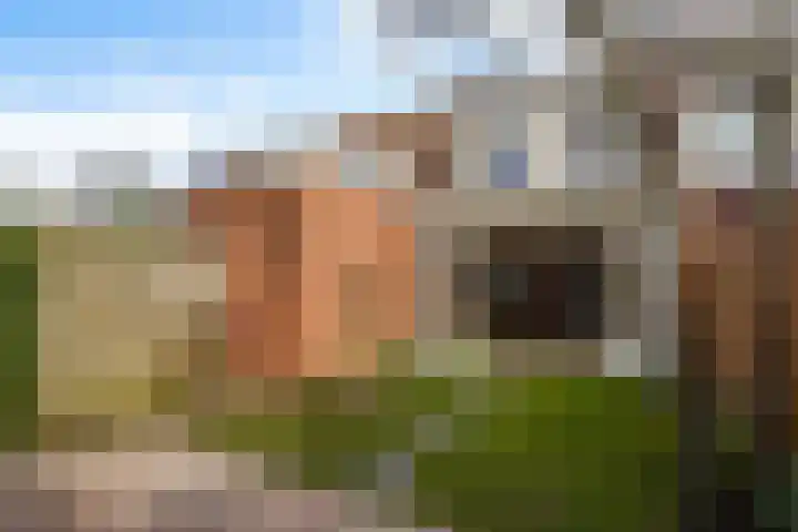 Aakwerf 23 Zoetermeer thumbnail 22