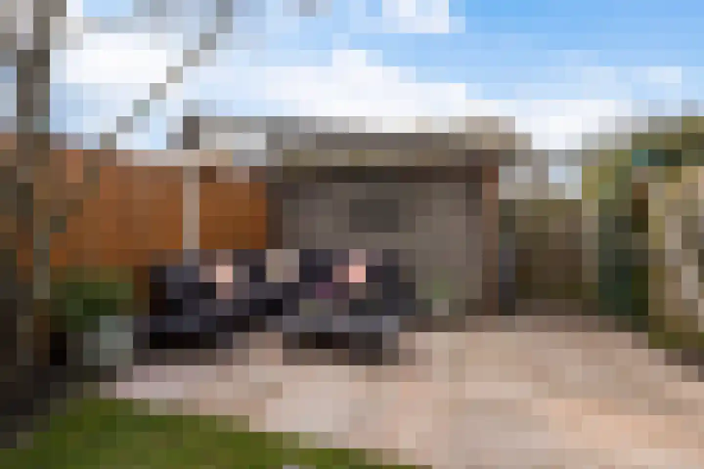 Aakwerf 23 Zoetermeer thumbnail 24