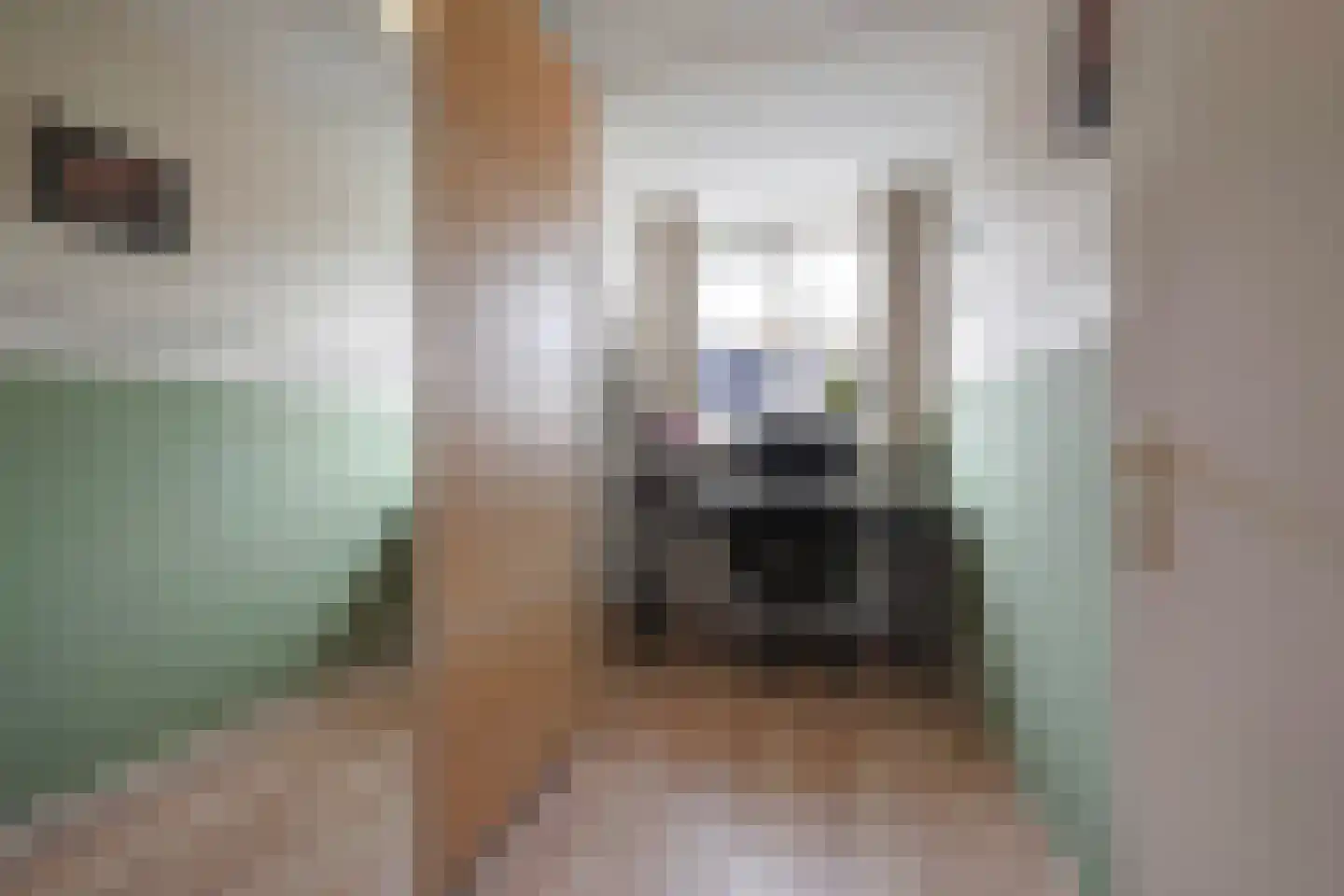 Aakwerf 23 Zoetermeer thumbnail 26