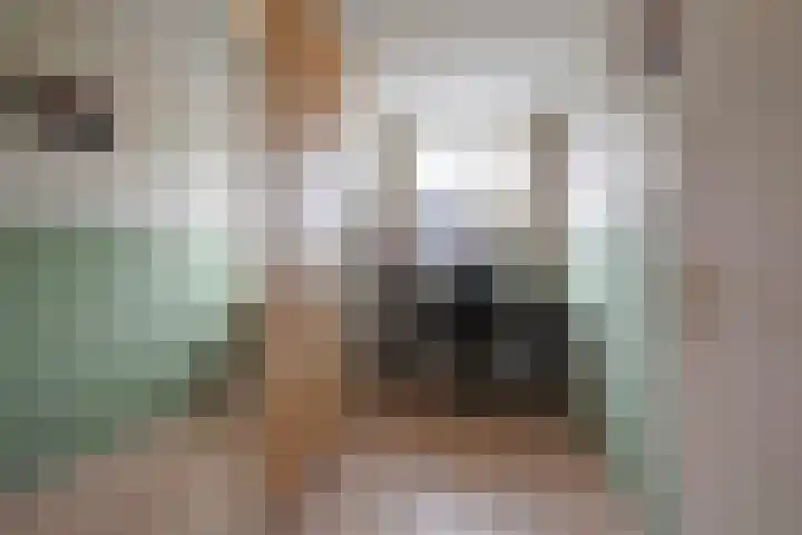 Aakwerf 23 Zoetermeer thumbnail 26