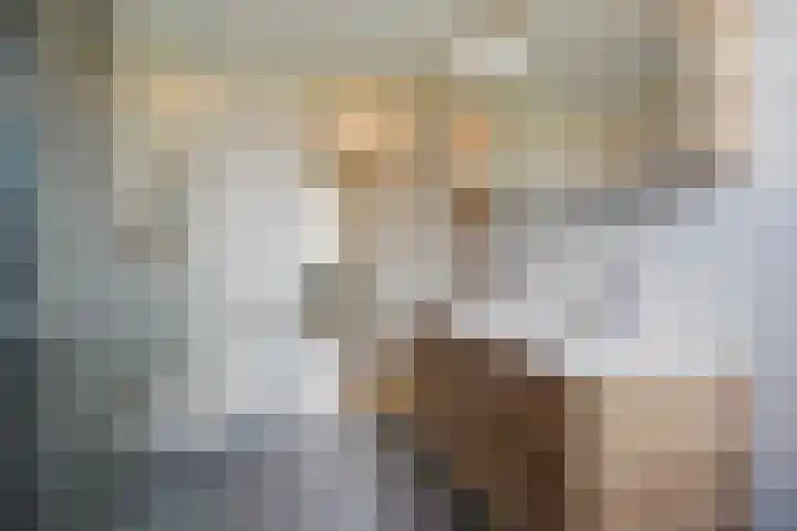 Aakwerf 23 Zoetermeer thumbnail 29