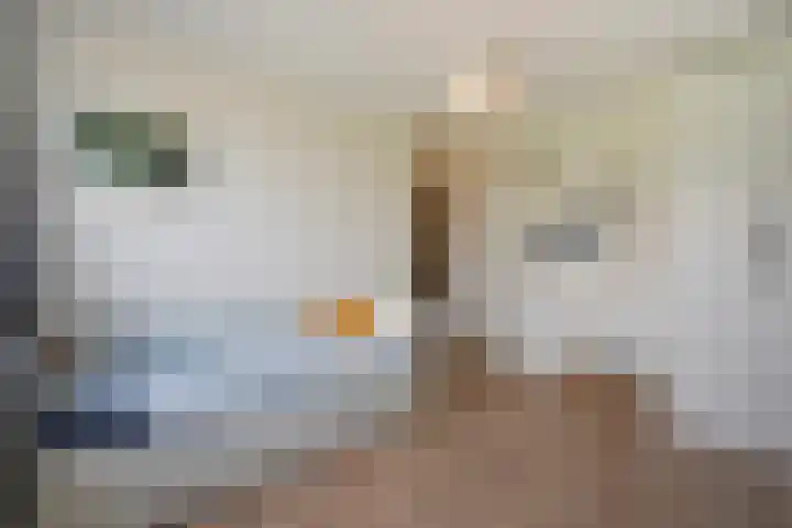 Aakwerf 23 Zoetermeer thumbnail 35