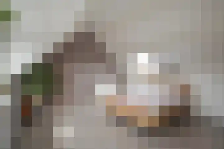 Aakwerf 23 Zoetermeer thumbnail 37