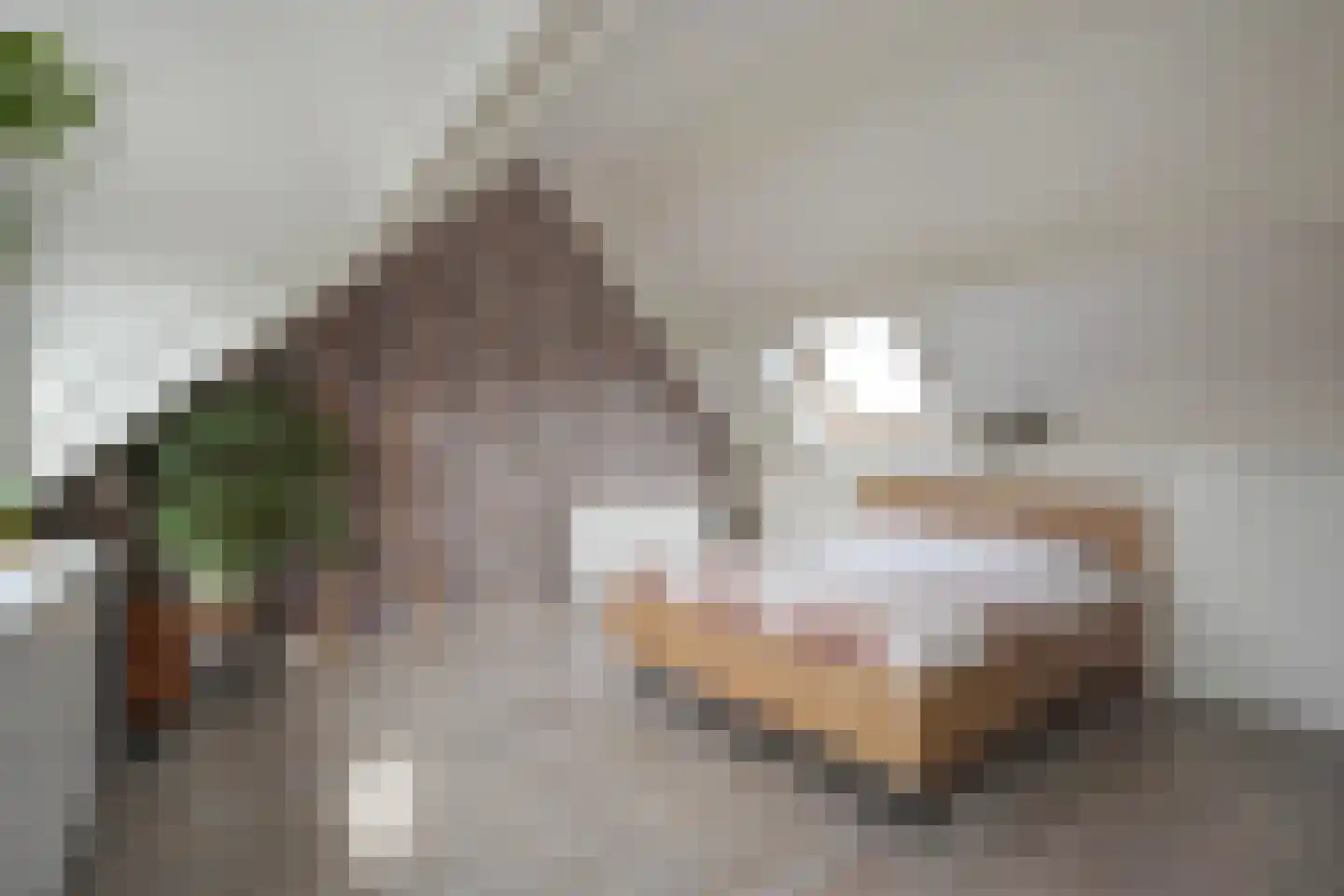 Aakwerf 23 Zoetermeer thumbnail 38