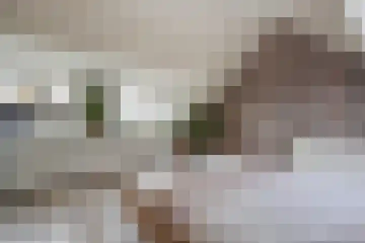 Aakwerf 23 Zoetermeer thumbnail 38