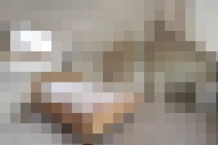 Aakwerf 23 Zoetermeer thumbnail 40